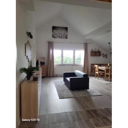 Penthouse N74 Linz 120 QM KIDS WELCOME!