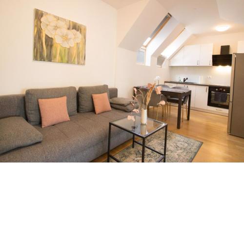 Penthouse near Schoenbrunn with large terrace! N43