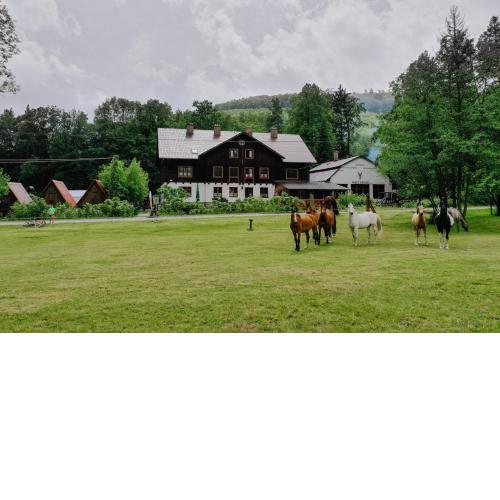 Penzion Račí údolí