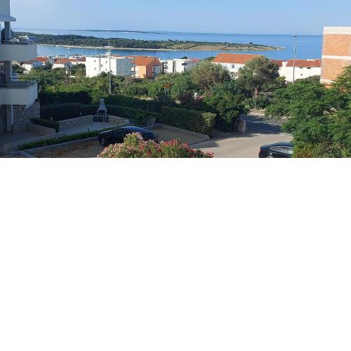 Perfect View