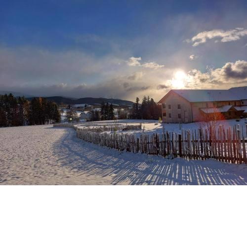 Pircherhof - Adults Only am Bauernhof