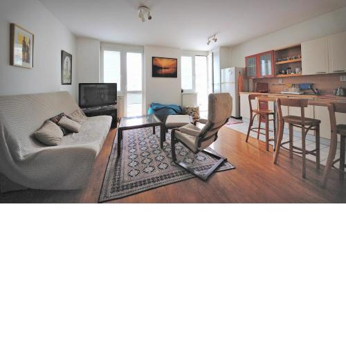 Pleasant apartment close to city center