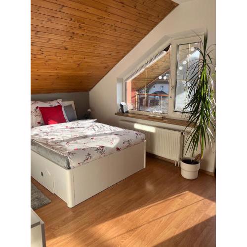 Podkrovní apartmán s balkónem