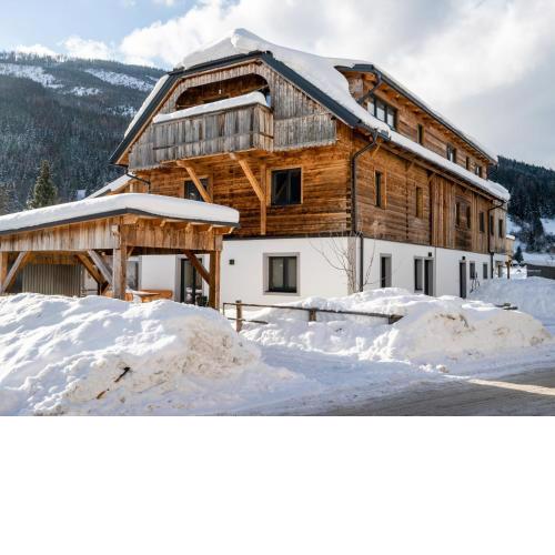 Premium maisonette near ski resorts