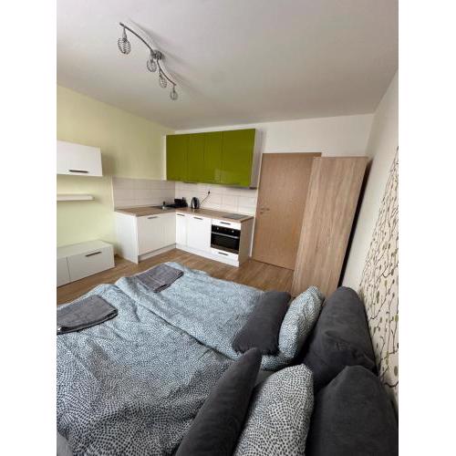 Private apartment 1km from center
