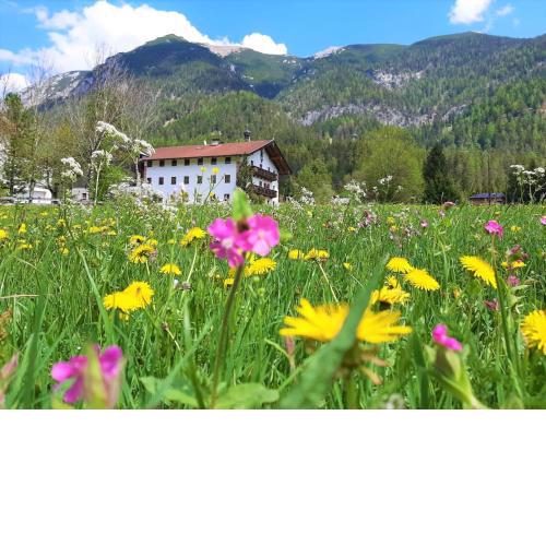 Pulvererhof