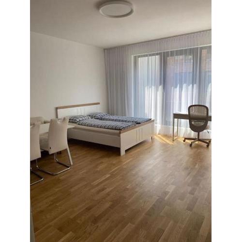 Quiet apartment near Prague centre