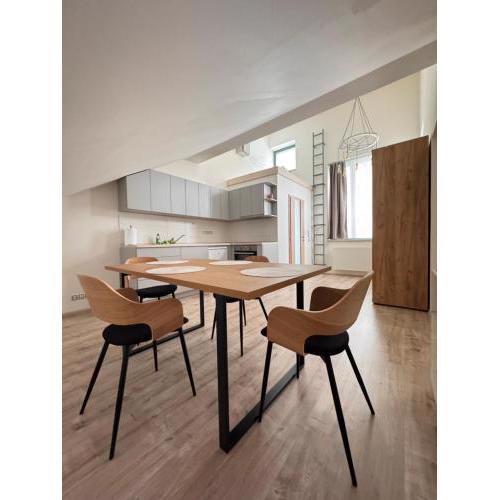 Radbuza Apartment