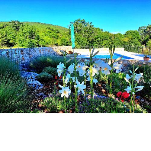 Relaxing Dalmatian house in village