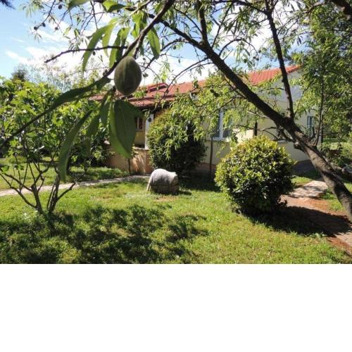 Residence Lorena Ferienhaus mit Salzwasser-Pool und Garten in Porec