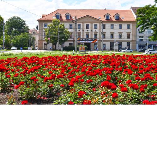 Residence Mariánská
