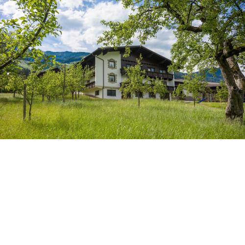 Riemenerhof