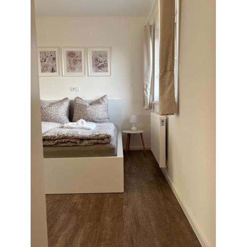 RK Apartment Holzova