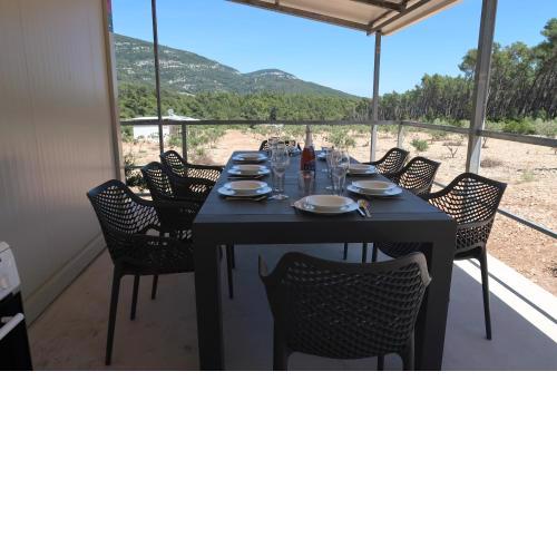 Robinson olive tree huts