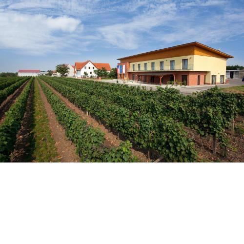 Rodinné Vinařství Skoupil