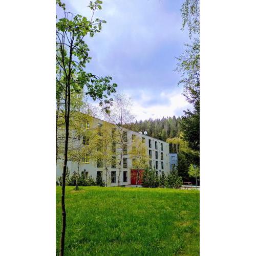 Rodinný apartmán pod Mumlavským vodopádem Harrachov