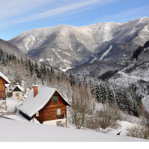 Romantische Ferienhütte Ennstaler Nat Kalkalpen bis 6 Personen