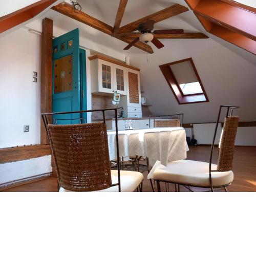 ROOF APARTMENT ZTRACENA