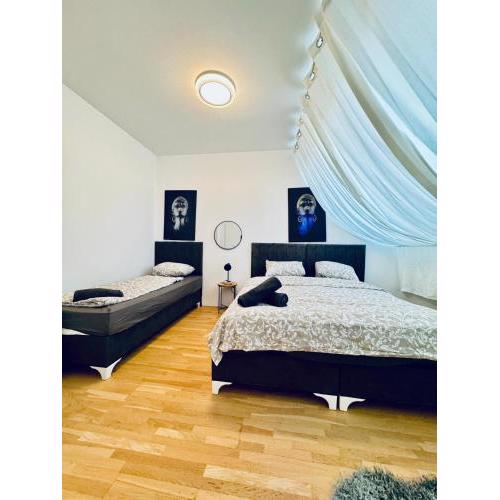 Room in a Shared Apt 6-Min Drive to Schönbrunn