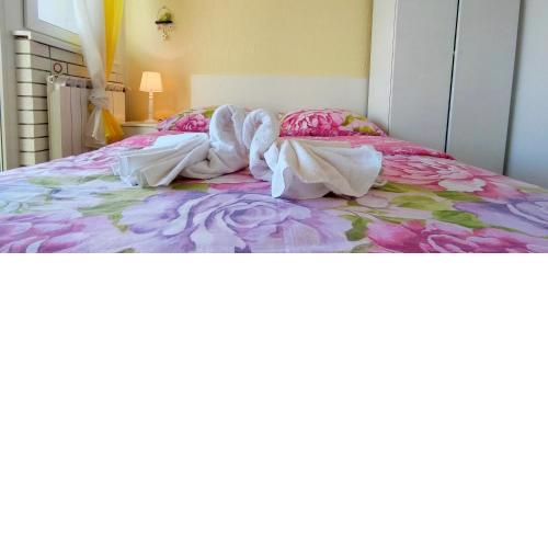 Room in Guest room - Discover the magic of nature