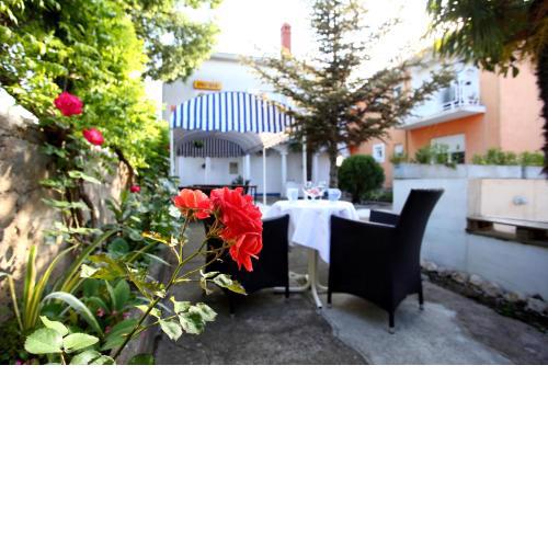 Rooms & Apartments Soline Nuove