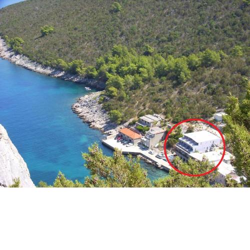 Rooms by the sea Cove Bristova, Hvar - 12140
