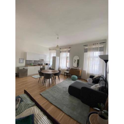 Roomy apartment close to Palmovka