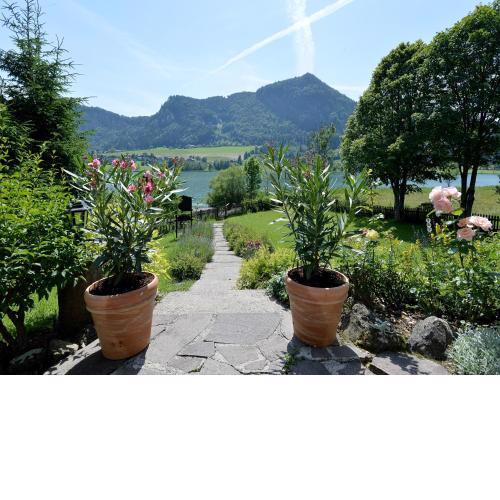 Rosenhof am See Ferienwohnung Alpenrose
