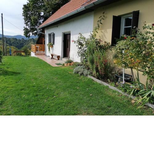 Rural house above the forest