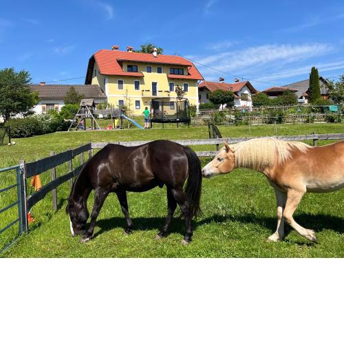 Rutarhof