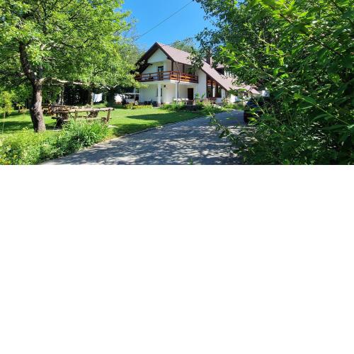 Samardzic House V