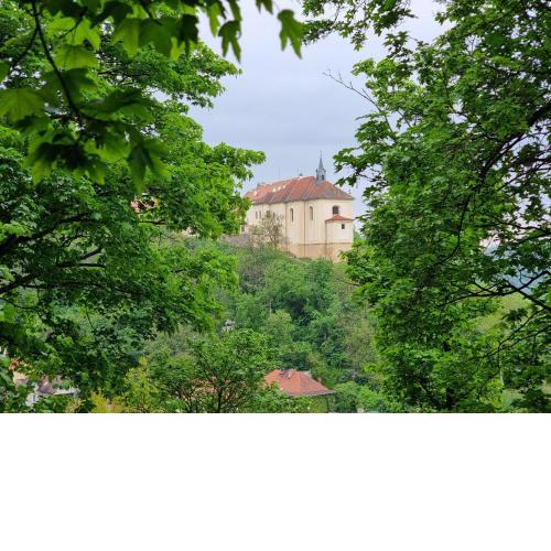 samostatný domek v zahradě