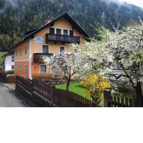 Säuleck Appartement inkl Skibus