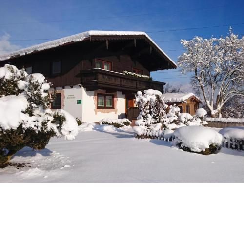 Schleicherhof IV