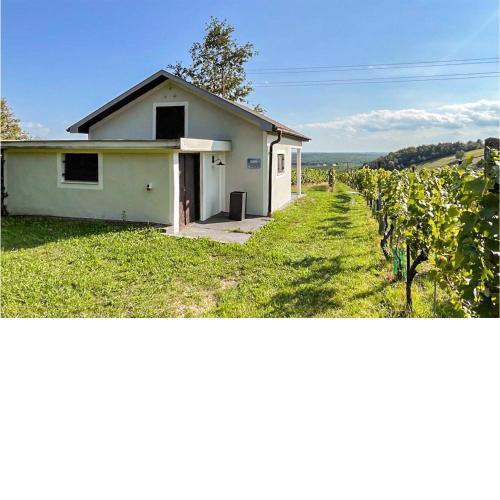 Schoenes Ferienhaus Eisenberg