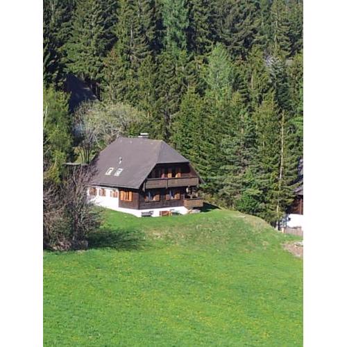 Schweighofers Almhaus