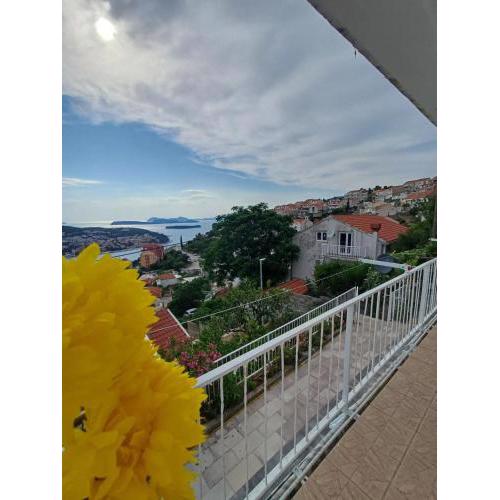 SEA VIEW FROM THE HILL
