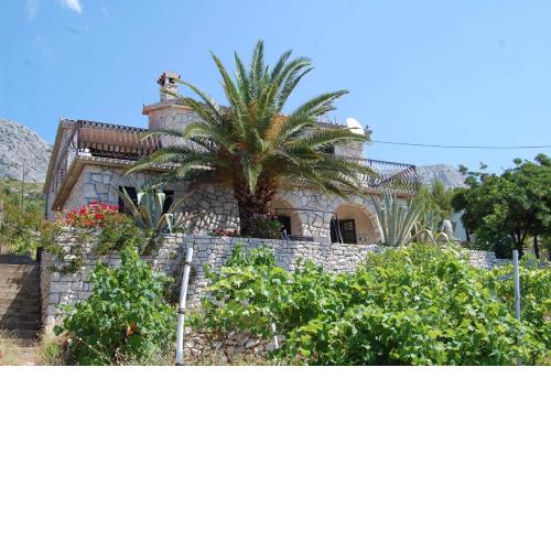 Seaside holiday house Ivan Dolac, Hvar - 12958