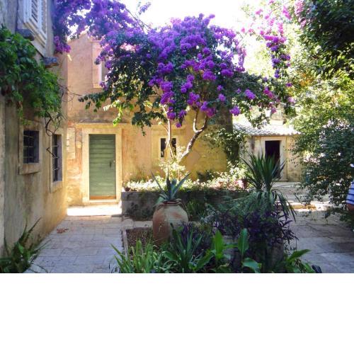 Seaside holiday house Orebic, Peljesac - 11853