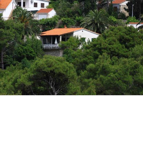 Seaside holiday house Postira, Brac - 13001