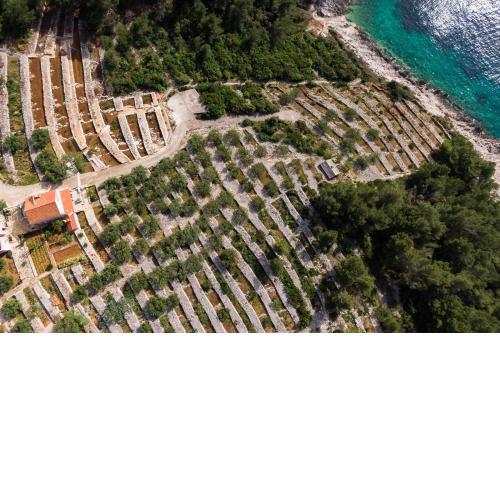 Seaside house for families with children Cove Zanavje, Korcula - 19224