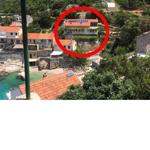 Seaside secluded apartments Cove Pobij, Hvar - 8702