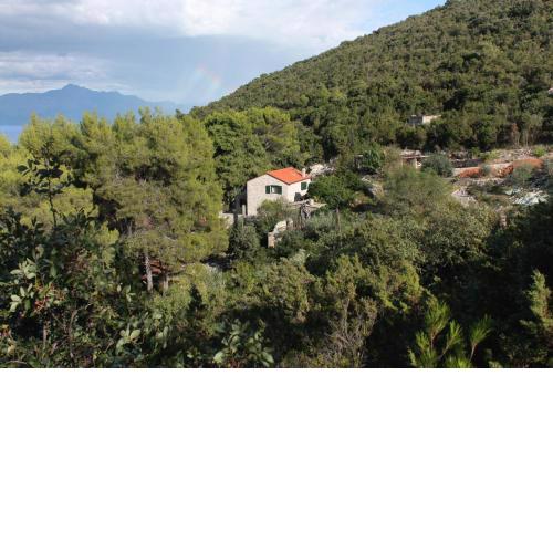 Seaside secluded apartments Cove Zavala - Gdinj, Hvar - 5717