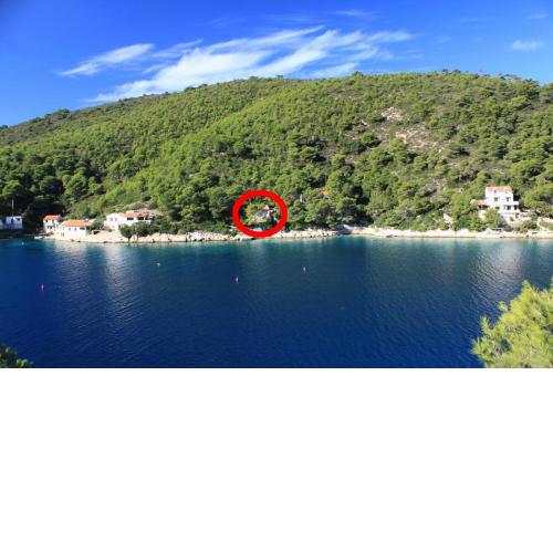 Secluded fisherman's cottage Cove Stoncica, Vis - 8894