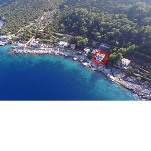 Secluded fisherman's cottage Cove Virak, Hvar - 17875