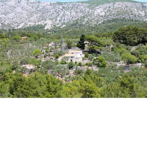 Secluded holiday house Zivogosce - Mala Duba, Makarska - 19811