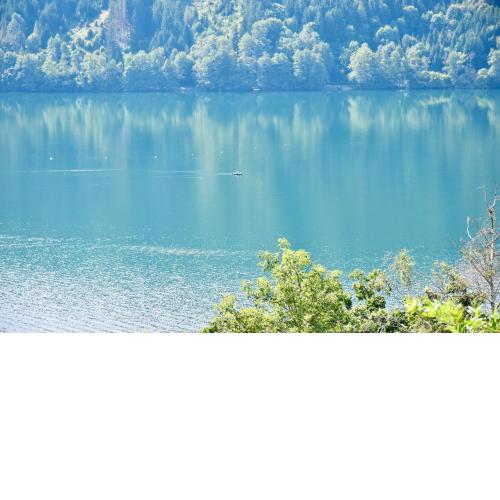See View