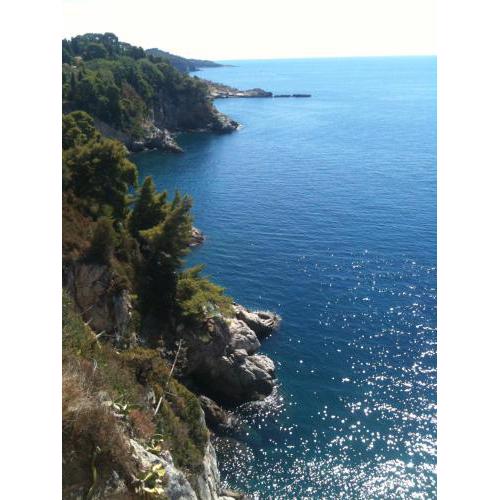 Serendipity DubrOvniK Centre-free parkinG