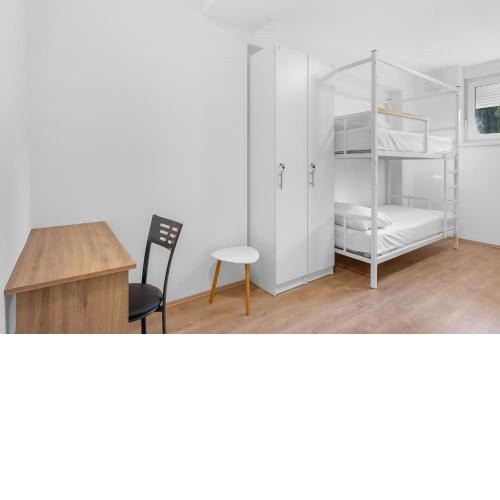 Shared room in Hostel - Bunk bed
