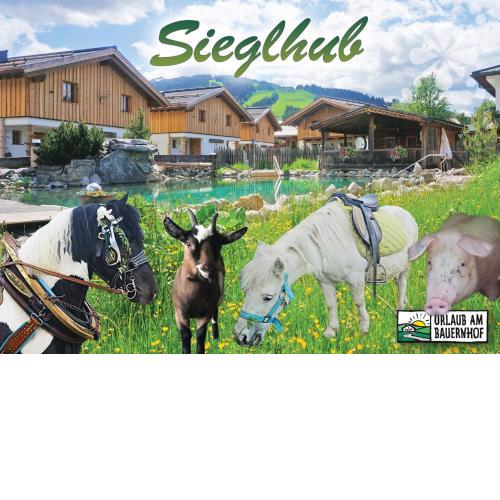 Sieglhub Chalets - Appartements - Hotel